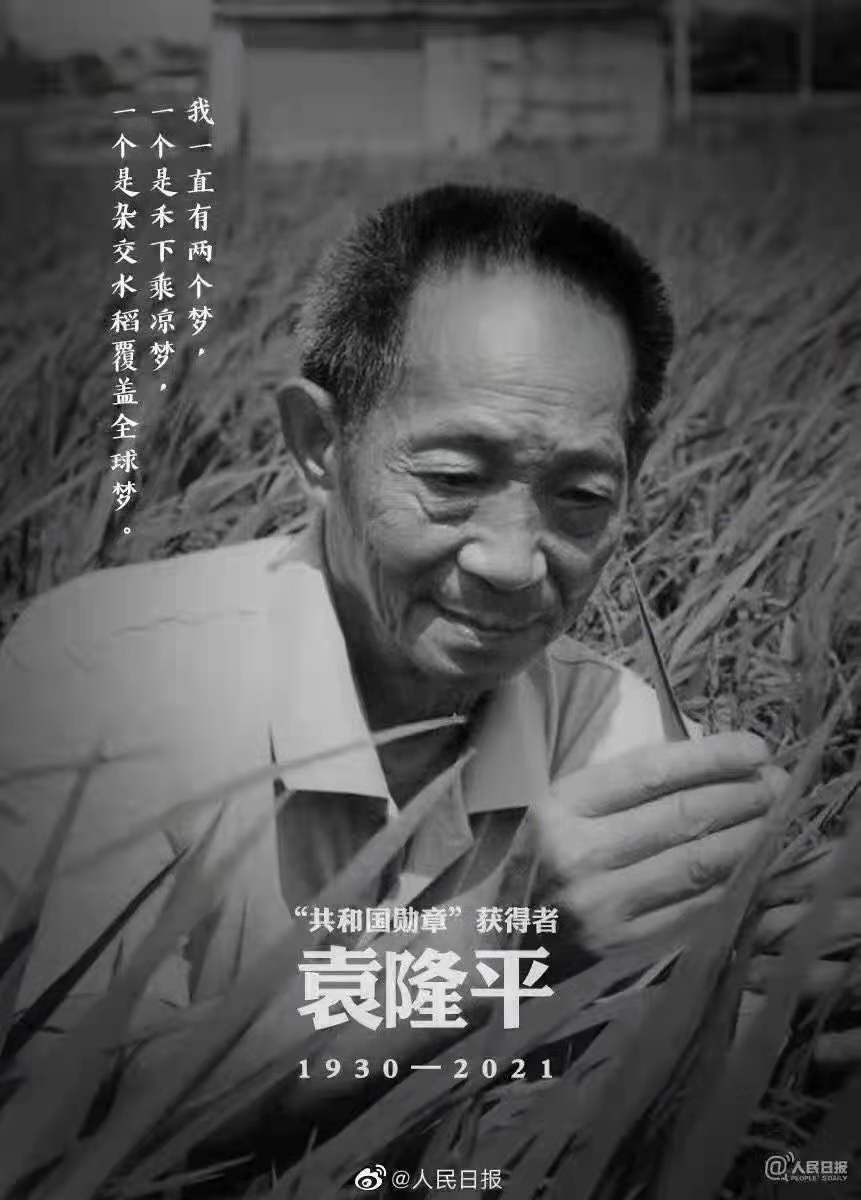 緬懷，國(guó)之脊梁——雜交水稻之父